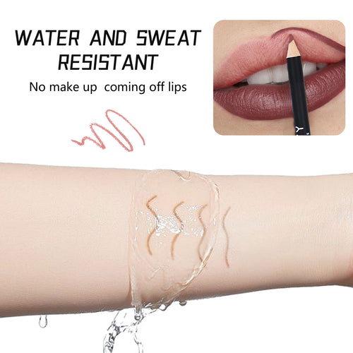 12 Color Matte Lipstick Lip Liner Suit