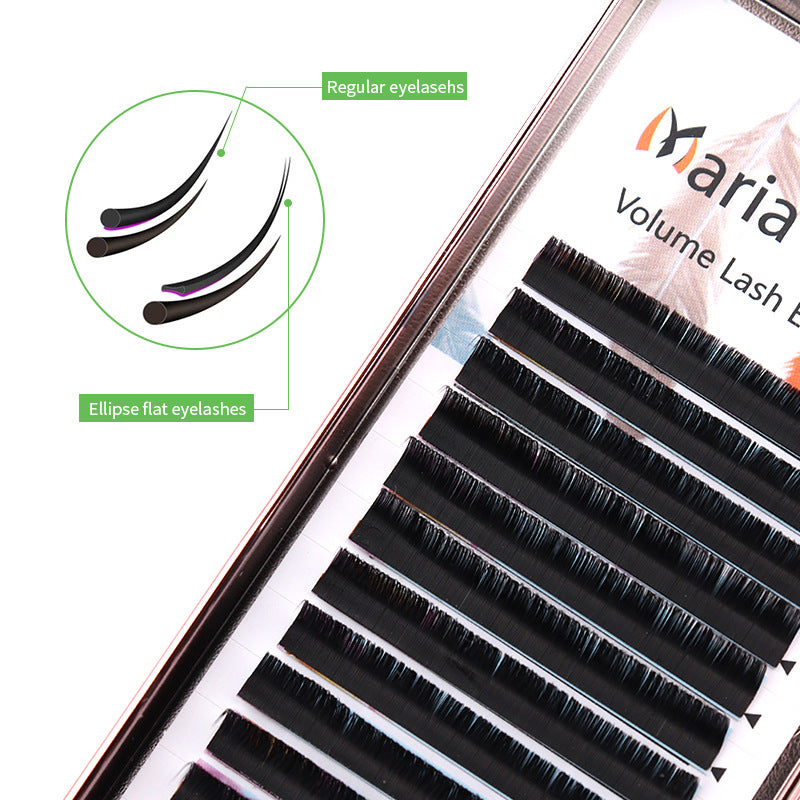Grafting Double Pointed Zero Touch False Eyelashes
